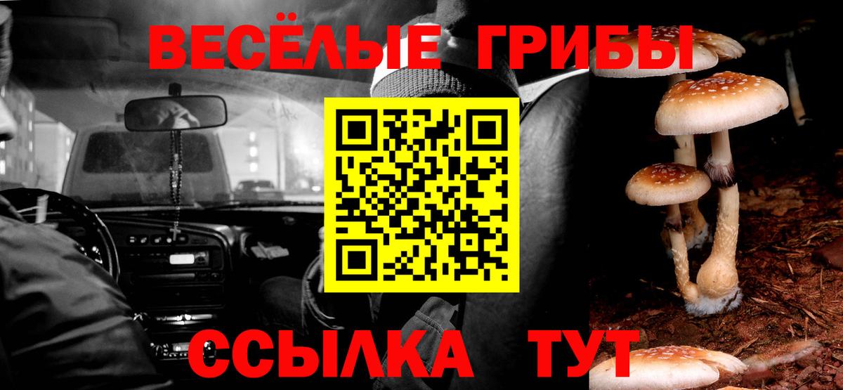 Псилоцибиновые грибы Magic Shrooms Братск